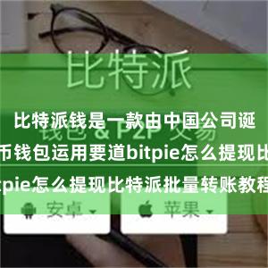 比特派钱是一款由中国公司诞生的比特币钱包运用要道bitpie怎么提现比特派批量转账教程