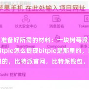 准备好所需的材料：一块树莓派开发板bitpie怎么提现bitpie是那里的，比特派官网，比特派钱包，比特派下载